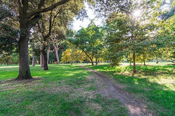 Foto Il parco davanti all'hotel